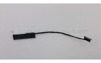 Lenovo FRU SATA Cable pour Lenovo ThinkPad X240 (20AM)