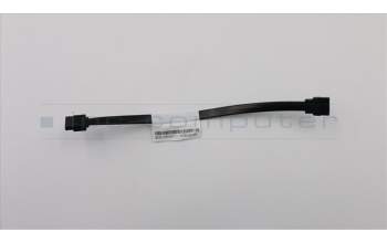 Lenovo CABLE Fru175mmSATA cable 1 latch pour Lenovo ThinkCentre M710T (10M9/10MA/10NB/10QK/10R8)