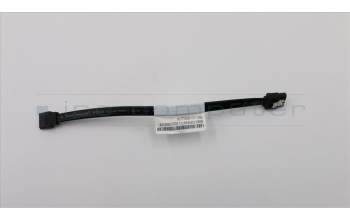 Lenovo CABLE Fru175mmSATA cable 1 latch pour Lenovo ThinkCentre M710q (10MS/10MR/10MQ)