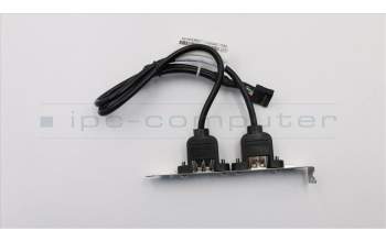 Lenovo CABLE Fru 300mm Rear USB2 HP cable pour Lenovo ThinkCentre M710T (10M9/10MA/10NB/10QK/10R8)