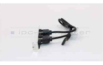 Lenovo CABLE Fru 300mm Rear USB2 HP cable pour Lenovo ThinkCentre M800 (10FV/10FW/10FX/10FY)