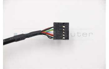 Lenovo CABLE Fru 200mm Rear USB2 LP cable pour Lenovo ThinkCentre M920t (10U1)