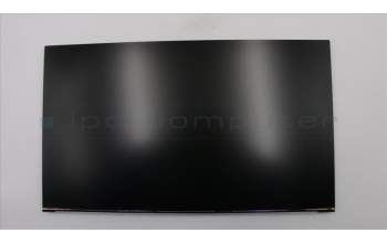 Lenovo 01AG958 DISPLAY Display LGD LM215WF9-SSA1
