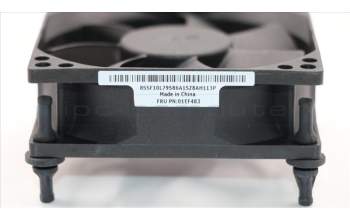 Lenovo FAN rear System fan for TW pour Lenovo ThinkCentre M710q (10MS/10MR/10MQ)