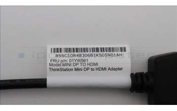 Lenovo CABLE mini Display Port to HDMI Dongl pour Lenovo ThinkStation P340 Tiny (30DE)