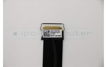 Lenovo CABLE LCD RGB Cable,Amphenol pour Lenovo ThinkPad X13 (20T2/20T3)