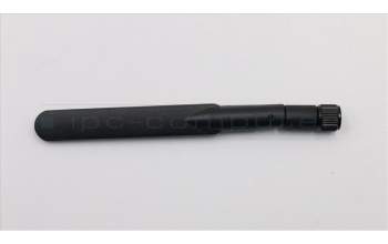 Lenovo CABLE Dual-band dipole antenna 5GHZ pour Lenovo ThinkCentre M800 (10FV/10FW/10FX/10FY)