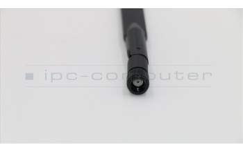 Lenovo CABLE Dual-band dipole antenna 5GHZ pour Lenovo ThinkStation P300