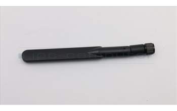 Lenovo CABLE Dual-band dipole antenna 5GHZ pour Lenovo ThinkCentre M900x (10LX/10LY/10M6)