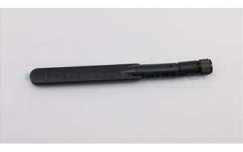 Lenovo CABLE Dual-band dipole antenna 5GHZ pour Lenovo ThinkCentre E93 (10AQ/10AT/10AR)