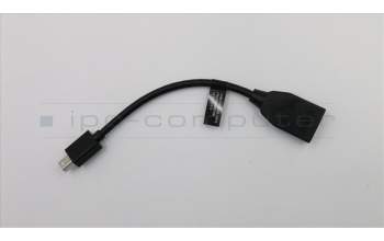 Lenovo CABLE_BO FRU FOR MINIDP TO DP CABLE pour Lenovo ThinkPad P71 (20HK/20HL)