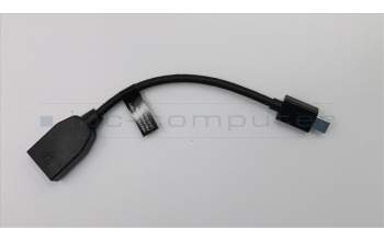 Lenovo CABLE_BO FRU FOR MINIDP TO DP CABLE pour Lenovo ThinkPad T470p (20J6/20J7)