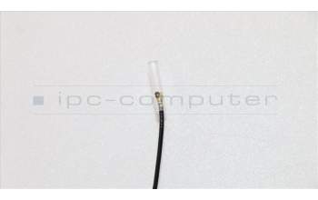 Lenovo CABLE Fru,65mm I-Pex to SMA M.2 Cable pour Lenovo ThinkStation P410