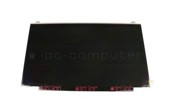 IPS écran FHD mat 60Hz (30-Pin eDP) pour Acer Predator 17 X (GX-791)