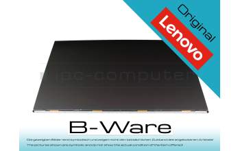DY057R 100Hz IPS Écran (1920x1080) mat b-stock