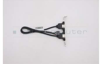 Lenovo 31026131 CABLE ??LI300mm??2?USB???II HP(R)