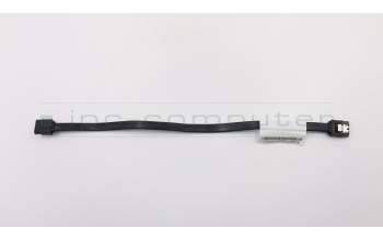 Lenovo CABLE LX 250mm SATA cable 2 latch pour Lenovo H515 (90A4)