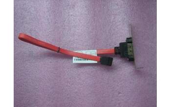 Lenovo CABLE FRU eSATA Cab pour Lenovo ThinkCentre M900