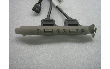 Lenovo Rear USB 2Ports II HP(R), high profile I pour Lenovo ThinkCentre M81 (5048)