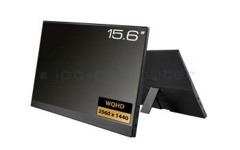 Écran portable 15,6" WQHD USB-C/HDMI pour HP EliteBook x360 1030 G2