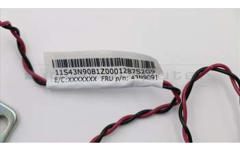 Lenovo CABLE Speaker cable pour Lenovo ThinkCentre M73p (10K9/10KA/10KB/10KC)