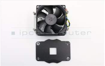 Lenovo 45K6550 AMD AM2/AM3 65W Cooler Kit (No Fan Grill