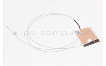 Acer 50.Q83N2.006 ANTENNA.WLAN.AUX