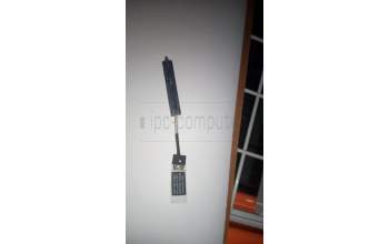 Lenovo CABLE HDD Cable B 80LY pour Lenovo Yoga 300-11IBR (80M1)