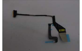 Lenovo 5C11P26352 CABLE MTS41 M/B EP_T COAX+TFL