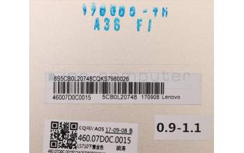 Lenovo 5CB0L20748 Lower_Case W 80SW, goldfarben