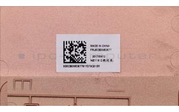 Lenovo 5CB0M53677 COVER Lower case 3N 80WG Red