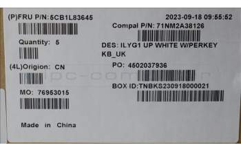 Lenovo 5CB1L83645 C-Abdeckung mit Tastatur, Englisch (GB), Weiß, RGB-Hintergrundbel