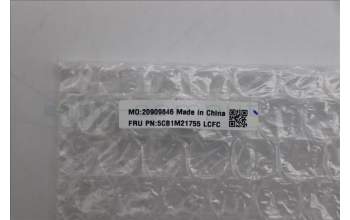 Lenovo 5CB1M21755 COVER FRU COVER MTS40_HINGE_CAP_BL_ASSY