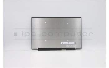 Lenovo 5D10X01020 DISPLAY FRU IN N133GCA-GQ1 QHDI AG S NB