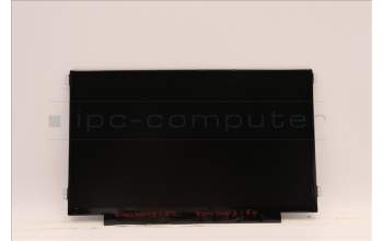 Lenovo 5D10X54254 DISPLAY FRU AUO B116XTN02.5 1A 11.6 HD