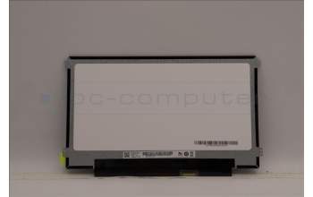 Lenovo DISPLAY FRU AUO B116XTN02.5 1A 11.6 HD pour Lenovo IdeaPad 1-11IGL05 (81VT)