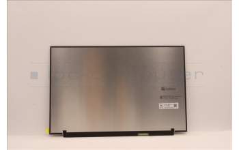 Lenovo 5D11D96536 DISPLAY FRU CS MNG007DA1-B WQXI AG S NB