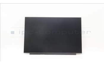 Lenovo 5D11K06186 DISPLAY FRU AUO B160UAK01.2 0A 16.0 WUX