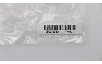 Lenovo 5H50J30904 HINGE Hinge C U31-70