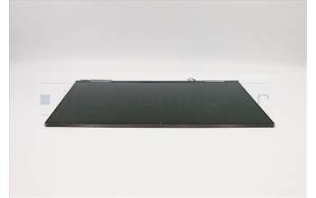 Lenovo 5M10Z37058 Lenovo LCD Module,14\",WQHD,Touch,Glare,IPS,300nit,76% NTSC