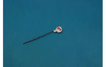 Lenovo 5M78C06599 YT-X703 Vibrator &11766099-00 CS