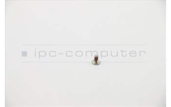 Lenovo 5S10S35171 SCREW Screw L 81TCMM2.5D4.5LK5.5DNINL+