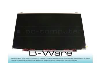 DLS17R IPS Écran (1920x1080) mat slimline (30-Pin eDP) b-stock