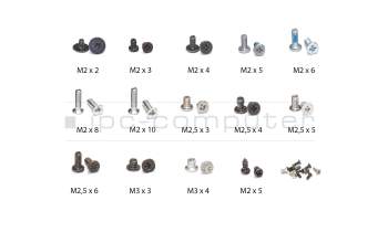 IPC-Computer SCREWG Assortiment de vis + outils - 305 pièces