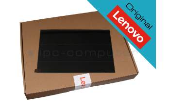 Lenovo 5D11G99894 original IPS écran WUXGA (1920x1200) mat 60Hz