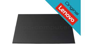 Lenovo 5D11J74768 original IPS écran WUXGA (1920x1200) mat 60Hz