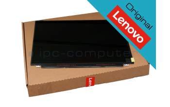 Lenovo IdeaPad 500-15ISK (80NT) original TN écran FHD (1920x1080) mat 60Hz