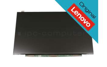 Lenovo ThinkPad E490 (20N8/20N9) original IPS écran FHD (1920x1080) mat 60Hz