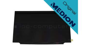 Medion Erazer Defender P10 (NH77DDW-M) original IPS écran FHD (1920x1080) mat 144Hz (40Pin)