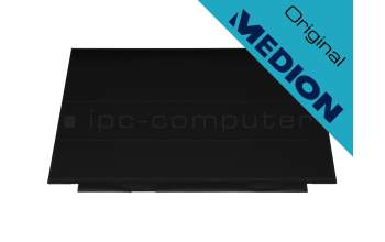 Medion Erazer Deputy P10 (K15CDN) original IPS écran FHD (1920x1080) mat 144Hz